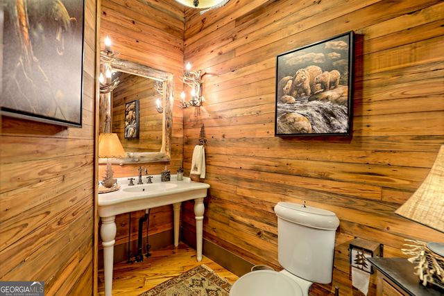 50 Point Morgan Lane, Tiger, GA 30576