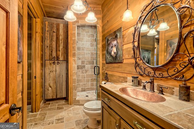 50 Point Morgan Lane, Tiger, GA 30576