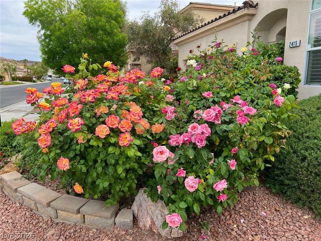 2415 Winter Cliffs Street, Henderson, NV 89052