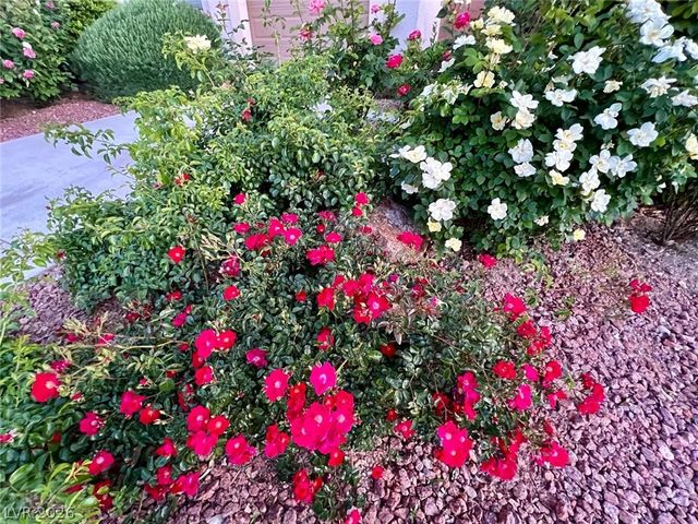 2415 Winter Cliffs Street, Henderson, NV 89052