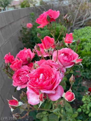 2415 Winter Cliffs Street, Henderson, NV 89052