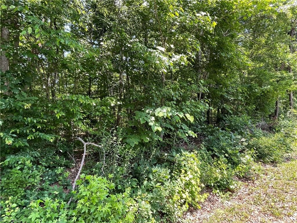 0000-3 Shady Lane, Burlington, NC 27217