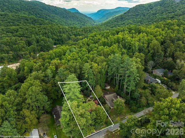 85 Chestnut Hill Road, Gerton, NC 28735