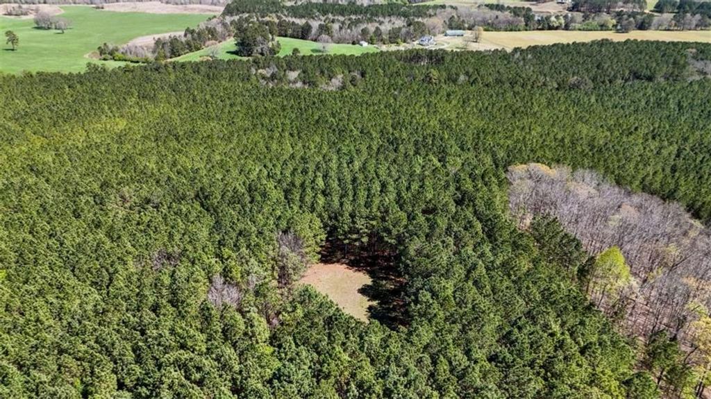 Image 10 of property listing at 403 AC Youngs Farm Road, Cedartown, GA 30125