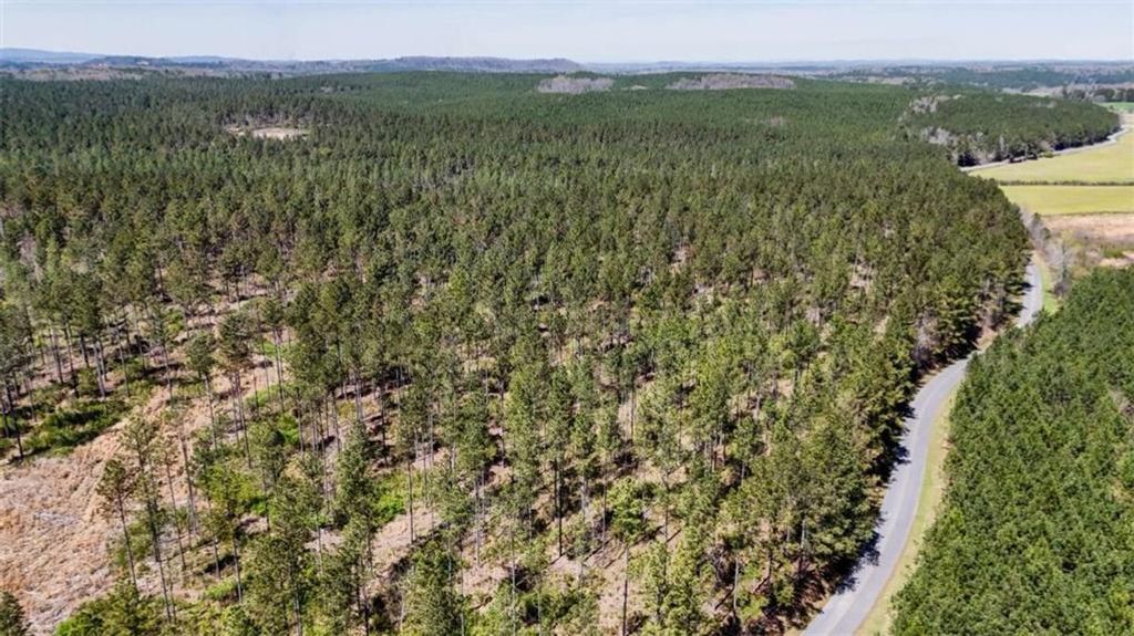 Image 12 of property listing at 403 AC Youngs Farm Road, Cedartown, GA 30125