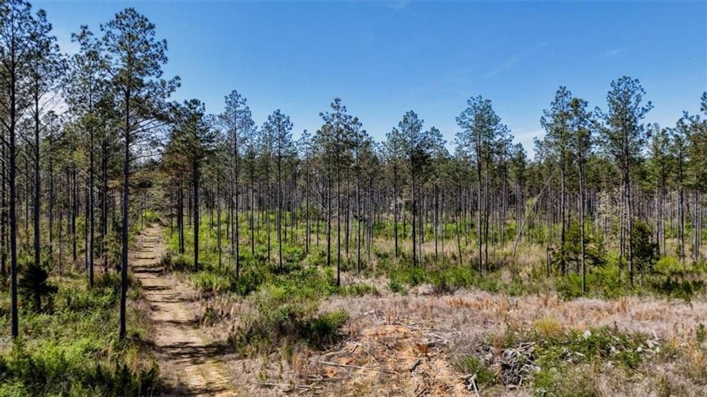 Image 13 of property listing at 403 AC Youngs Farm Road, Cedartown, GA 30125