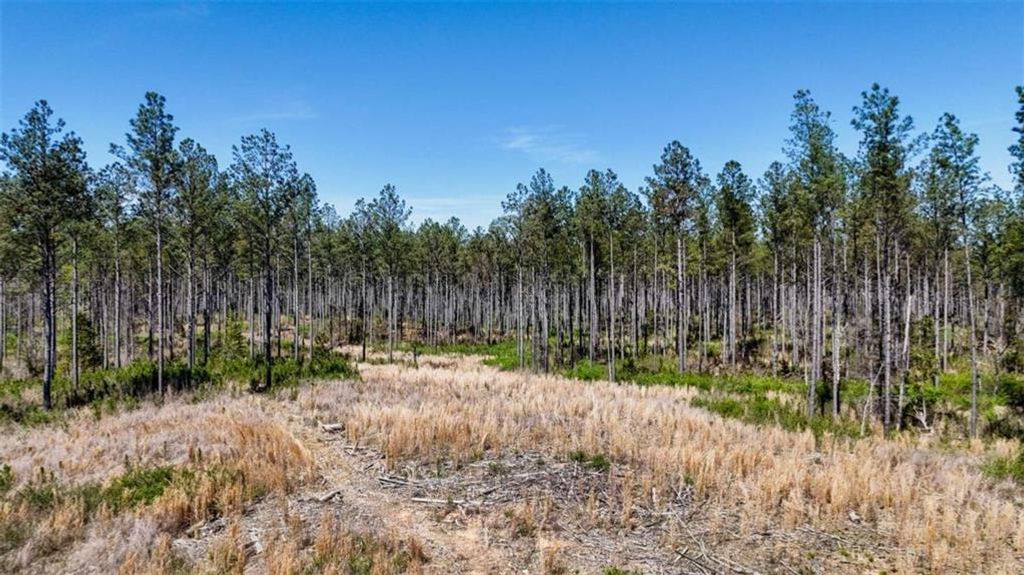 Image 14 of property listing at 403 AC Youngs Farm Road, Cedartown, GA 30125