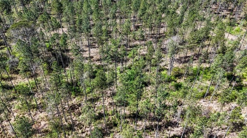 Image 15 of property listing at 403 AC Youngs Farm Road, Cedartown, GA 30125