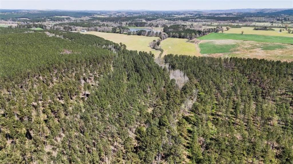 Image 4 of property listing at 403 AC Youngs Farm Road, Cedartown, GA 30125
