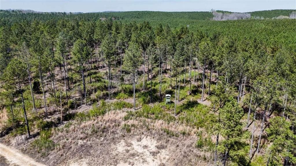 Image 5 of property listing at 403 AC Youngs Farm Road, Cedartown, GA 30125