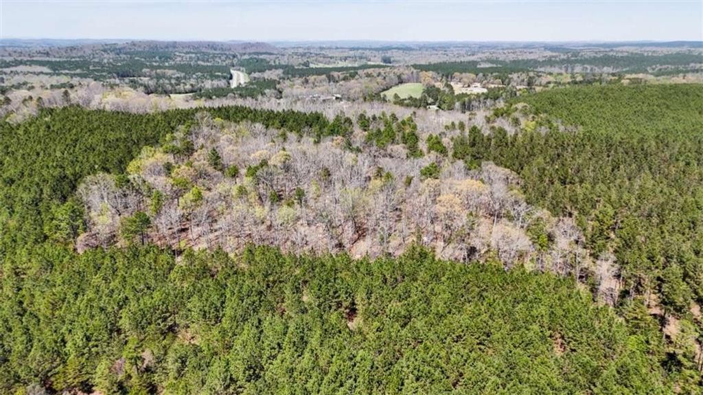 Image 7 of property listing at 403 AC Youngs Farm Road, Cedartown, GA 30125