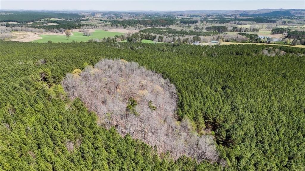 Image 9 of property listing at 403 AC Youngs Farm Road, Cedartown, GA 30125