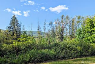 267 Wildcat Road, Toutle, WA 98649