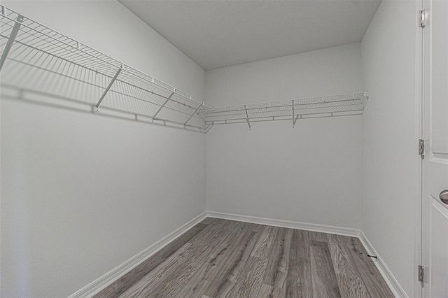 16680 DELIA STREET, Wimauma, FL 33598