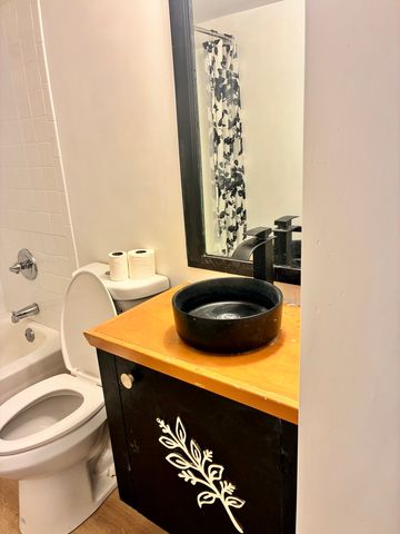 17963 Amherst Court 102, Country Club Hills, IL 60478