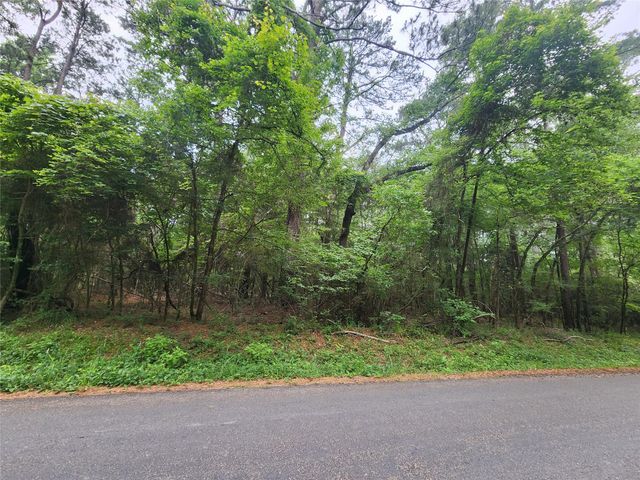 207 Long King, Livingston, TX 77351