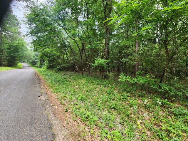 207 Long King, Livingston, TX 77351