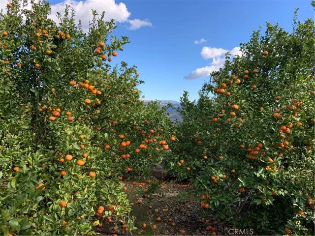 45860 Calle Cuero, Temecula, CA 92590