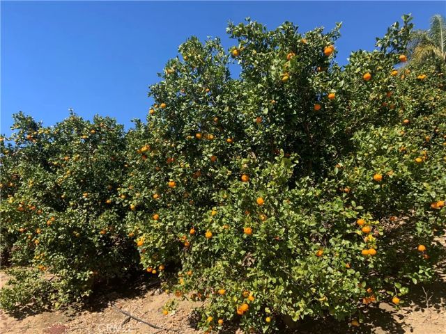 45860 Calle Cuero, Temecula, CA 92590