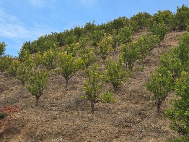 45860 Calle Cuero, Temecula, CA 92590