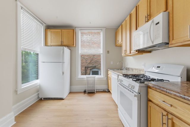 315 S Maple Avenue, Oak Park, IL 60302