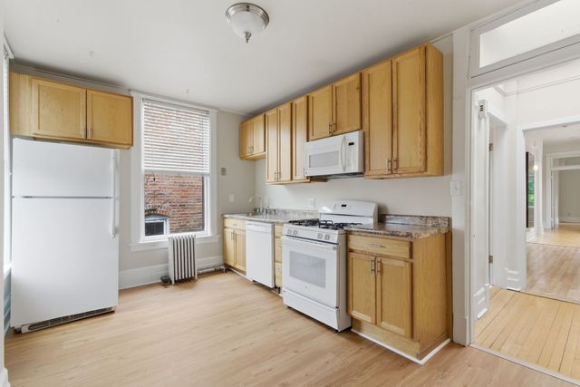 315 S Maple Avenue, Oak Park, IL 60302