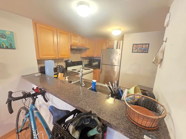 1828 S Wentworth Avenue 2B, Chicago, IL 60616