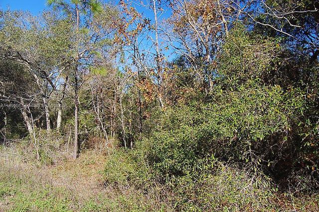 5746 W OVERLOOK DR, Other City - In The State Of Florida, FL 32656