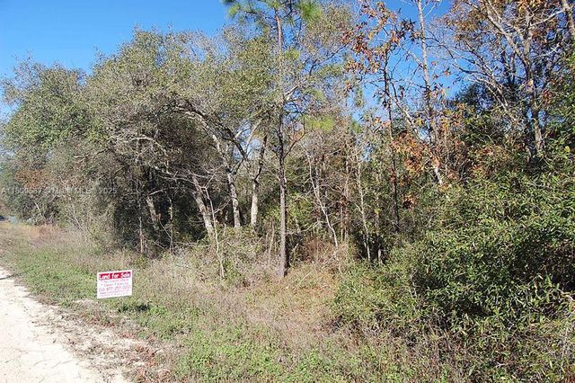 5746 W OVERLOOK DR, Other City - In The State Of Florida, FL 32656