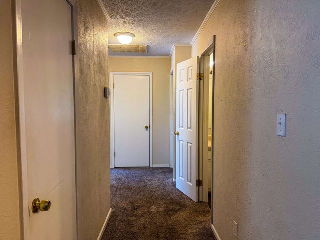 20 Diane Avenue, Ash Flat, AR 72513