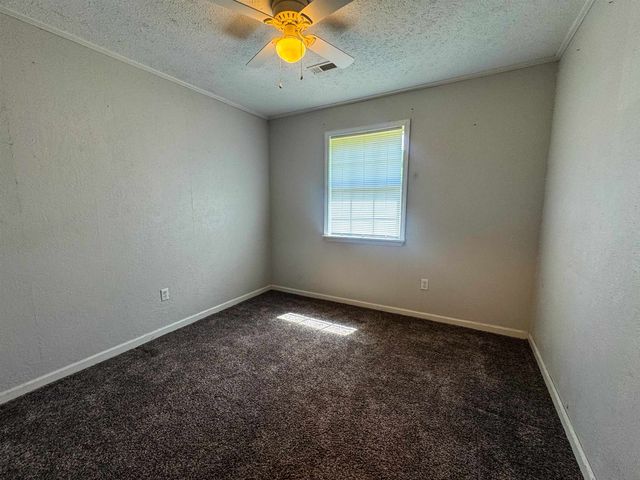 20 Diane Avenue, Ash Flat, AR 72513