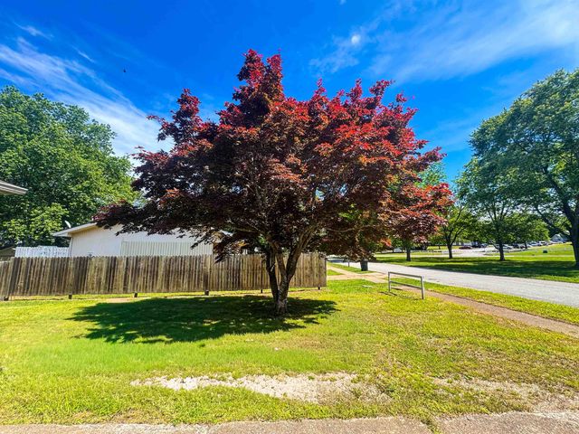 20 Diane Avenue, Ash Flat, AR 72513