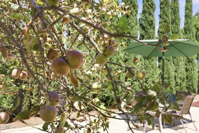 1935 El Rancho Drive, Camarillo, CA 93010