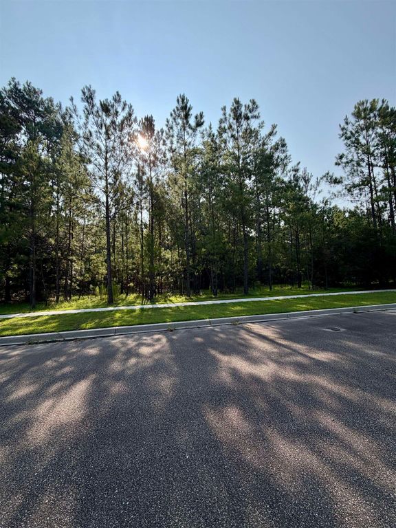 121 Pineberry Dr., Georgetown, SC 29440 — photo 5