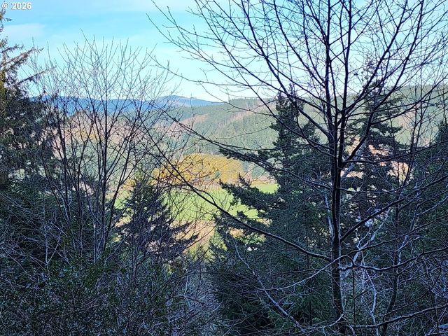 HENSLEY HILL Rd, Port Orford, OR 97465