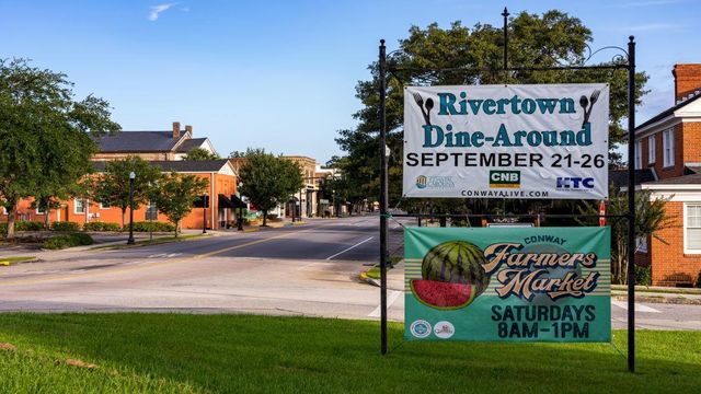 8031 Bear Claw Way, Conway, SC 29526