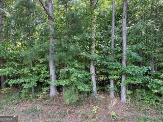 TRACT 9 Old Ridgeway Road, Bremen, GA 30110