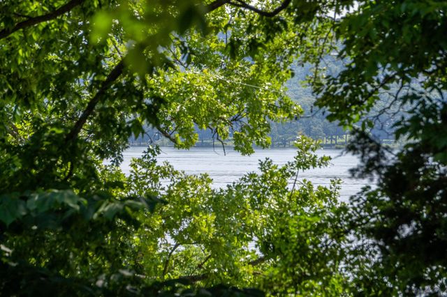 245 Bonanza Drive, Kimberling City, MO 65686