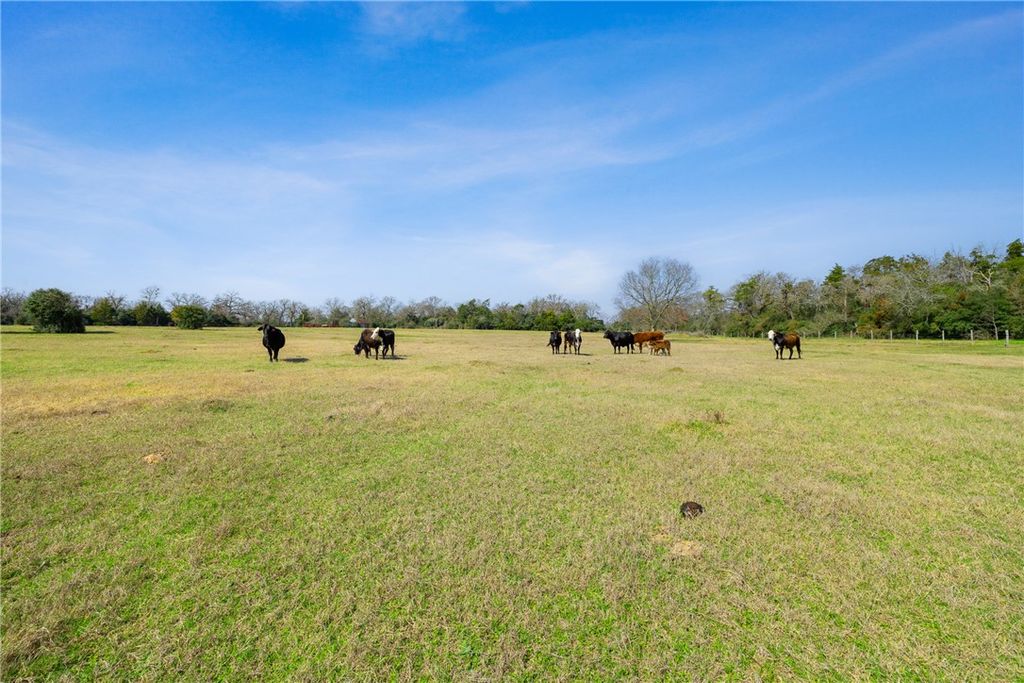 6804 CR 126, Caldwell, TX 77836 — photo 2