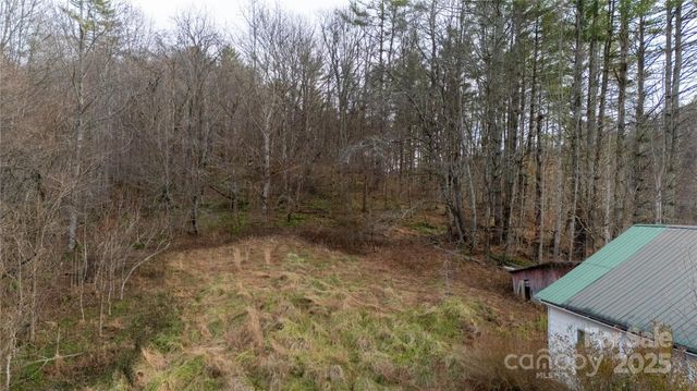 141 Burleson Drive, Bakersville, NC 28705