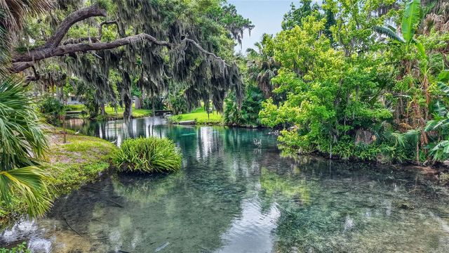 5 LONESOME PINE TRAIL, Yalaha, FL 34797