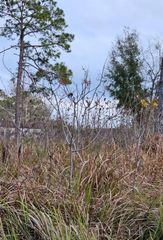 TBD SE 104TH TERRACE, Belleview, FL 34420