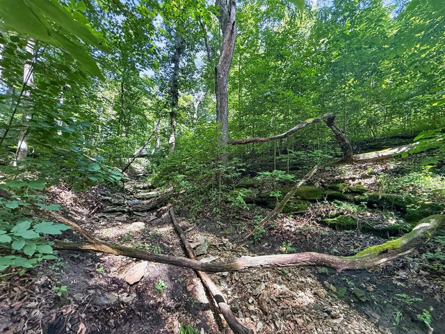 4745 N OLD BARCLAY RIDG RD, Columbia, MO 65202