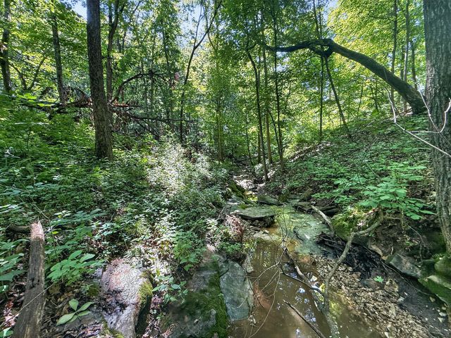 4745 N OLD BARCLAY RIDG RD, Columbia, MO 65202
