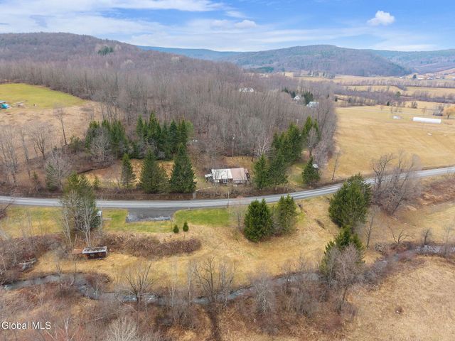 941 W Richmondville Road, Seward, NY 12043