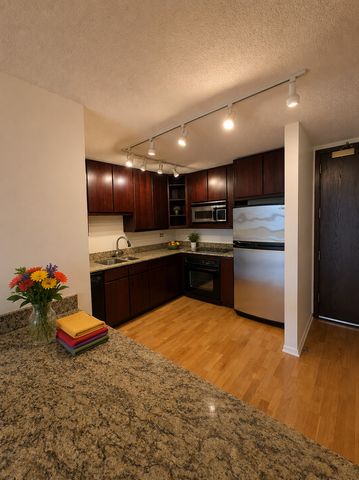 360 E Randolph Street 2506, Chicago, IL 60601