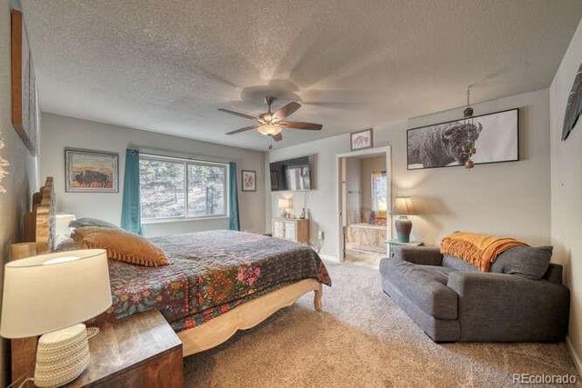 1117 Caliente Lane, Poncha Springs, CO 81242