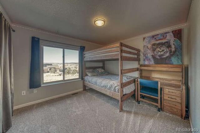 1117 Caliente Lane, Poncha Springs, CO 81242