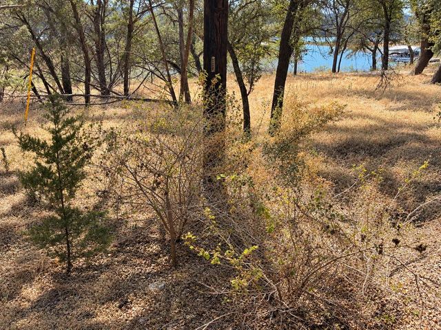 1211 Fawn PARK, Lago Vista, TX 78645