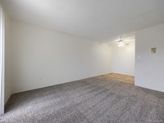 10211 Ura Lane 5-303, Denver, CO 80260